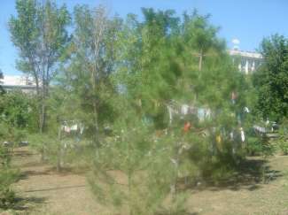 DSC08915.JPG
